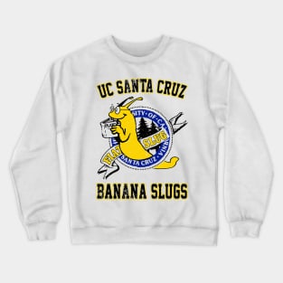 Ucsc sweater hot sale